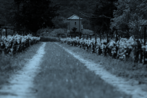 troupis-winery-road